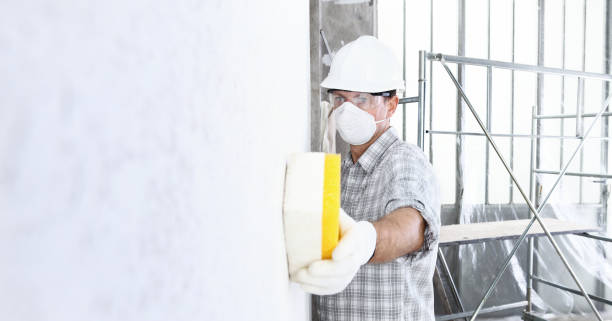 Best Environmental Consulting for Mold Prevention in Manito, IL